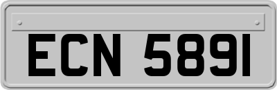 ECN5891