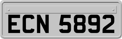 ECN5892
