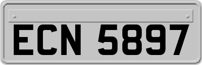 ECN5897
