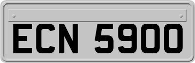ECN5900