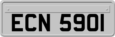 ECN5901