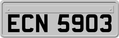 ECN5903