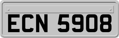 ECN5908