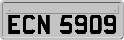 ECN5909