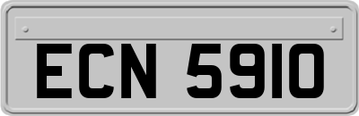 ECN5910