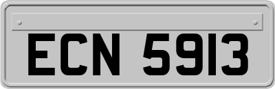 ECN5913