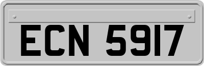 ECN5917