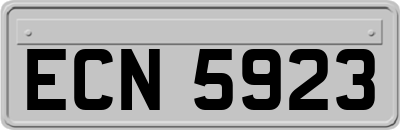 ECN5923