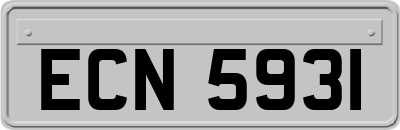 ECN5931