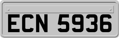 ECN5936
