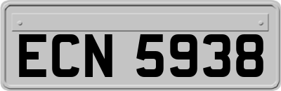 ECN5938