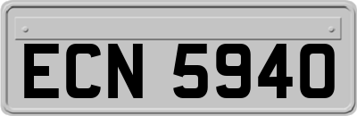 ECN5940