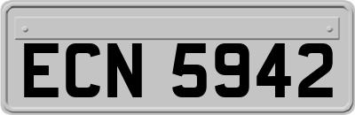 ECN5942