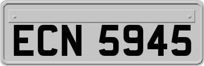ECN5945