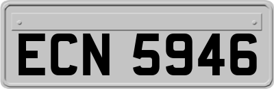 ECN5946
