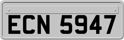 ECN5947