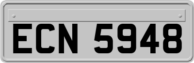 ECN5948