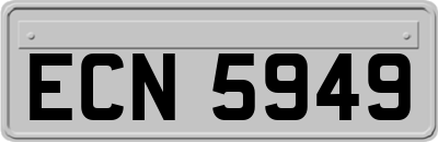 ECN5949