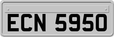ECN5950