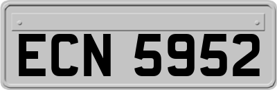 ECN5952
