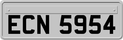 ECN5954