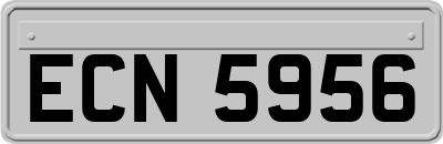 ECN5956