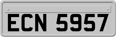 ECN5957