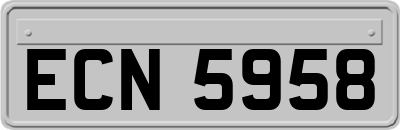 ECN5958