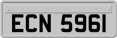 ECN5961