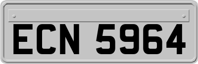 ECN5964