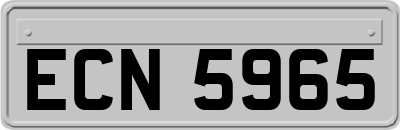 ECN5965