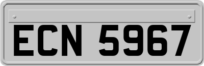 ECN5967