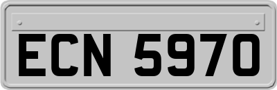 ECN5970