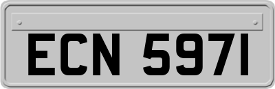 ECN5971