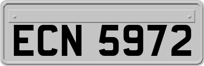 ECN5972