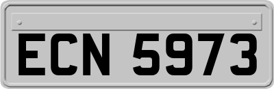 ECN5973