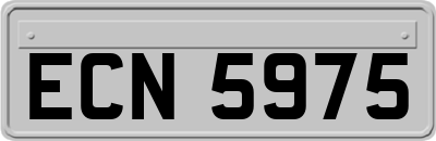 ECN5975