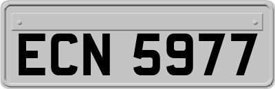 ECN5977