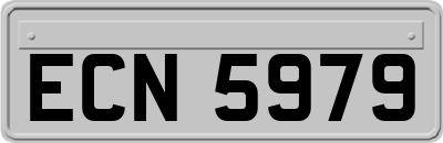 ECN5979