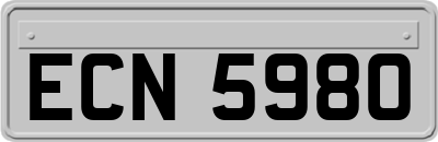 ECN5980