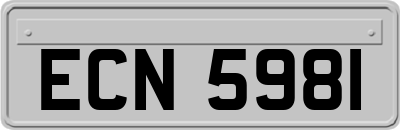 ECN5981