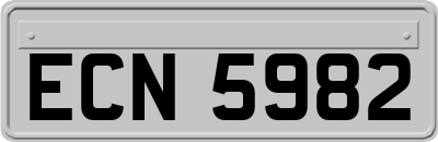 ECN5982