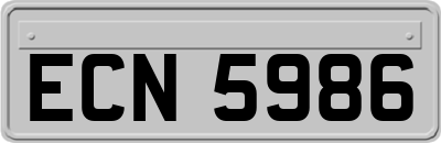 ECN5986