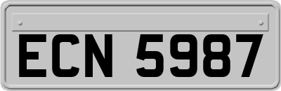 ECN5987