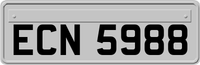 ECN5988