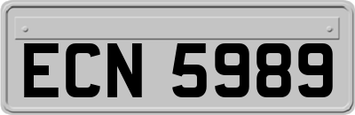 ECN5989