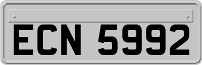 ECN5992