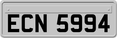 ECN5994
