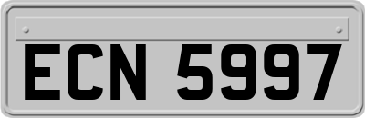 ECN5997