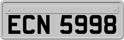 ECN5998